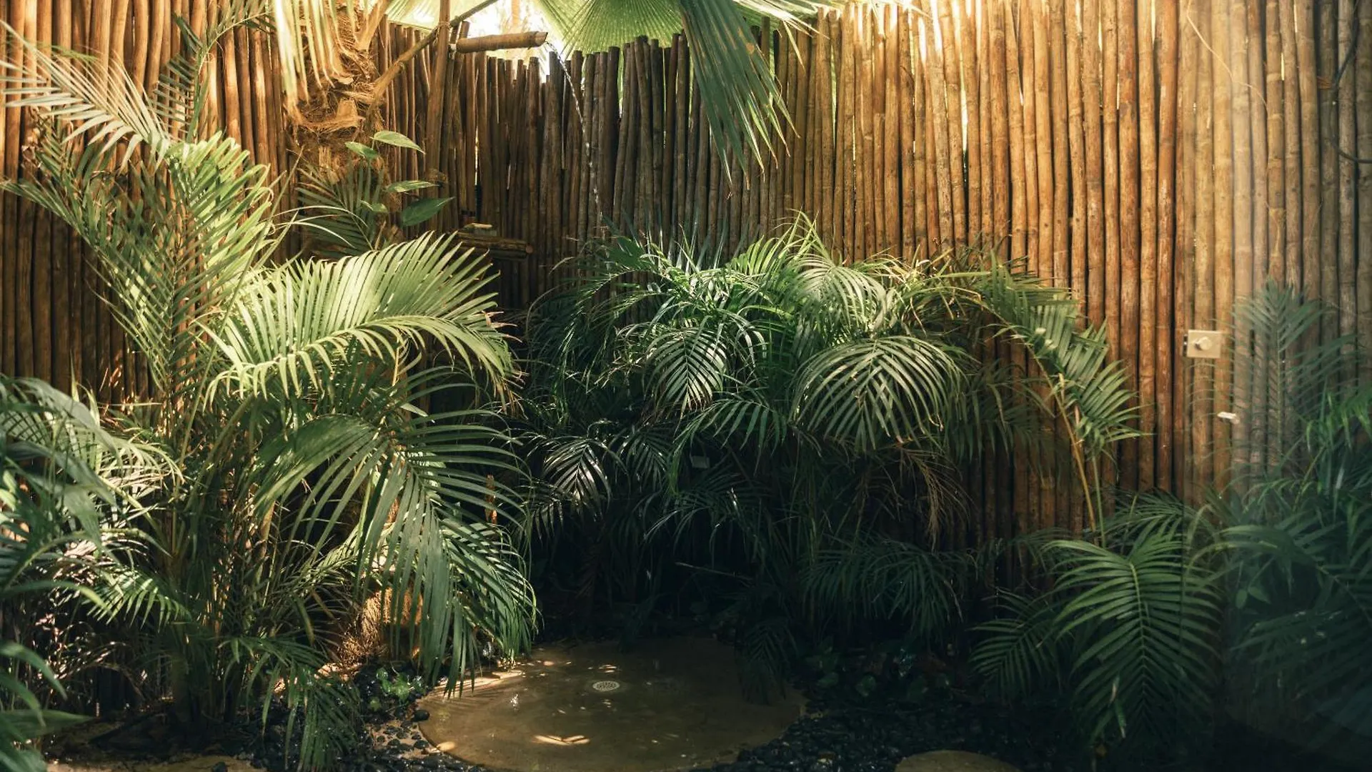 Éteka Slow Beach Hotel Cartagena